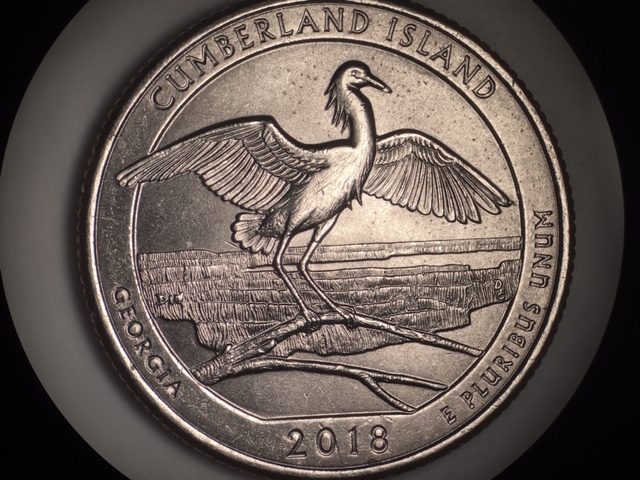 First-DDR-2018-P-Cumberland-Island-Quarter-Found