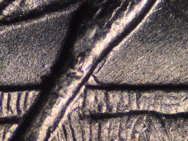 First-DDR-2018-P-Cumberland-Island-Quarter-Found