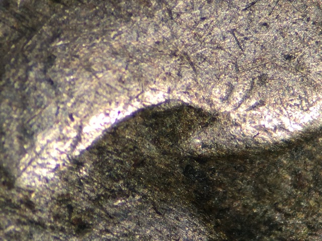1920-S-Buffalo-Nickel---New-DDO?