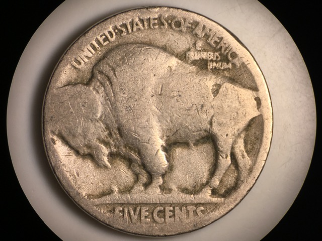 1920-S-Buffalo-Nickel---New-DDO?