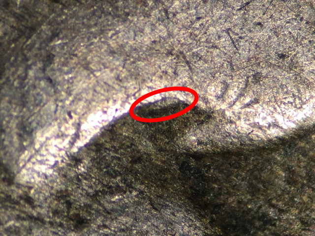 1920-S-Buffalo-Nickel---New-DDO?