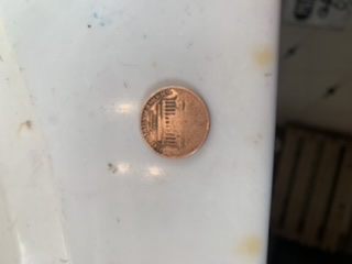1984-Penny-Definitely-Has-Error-Trying-To-Figure-Out-What-Exactly