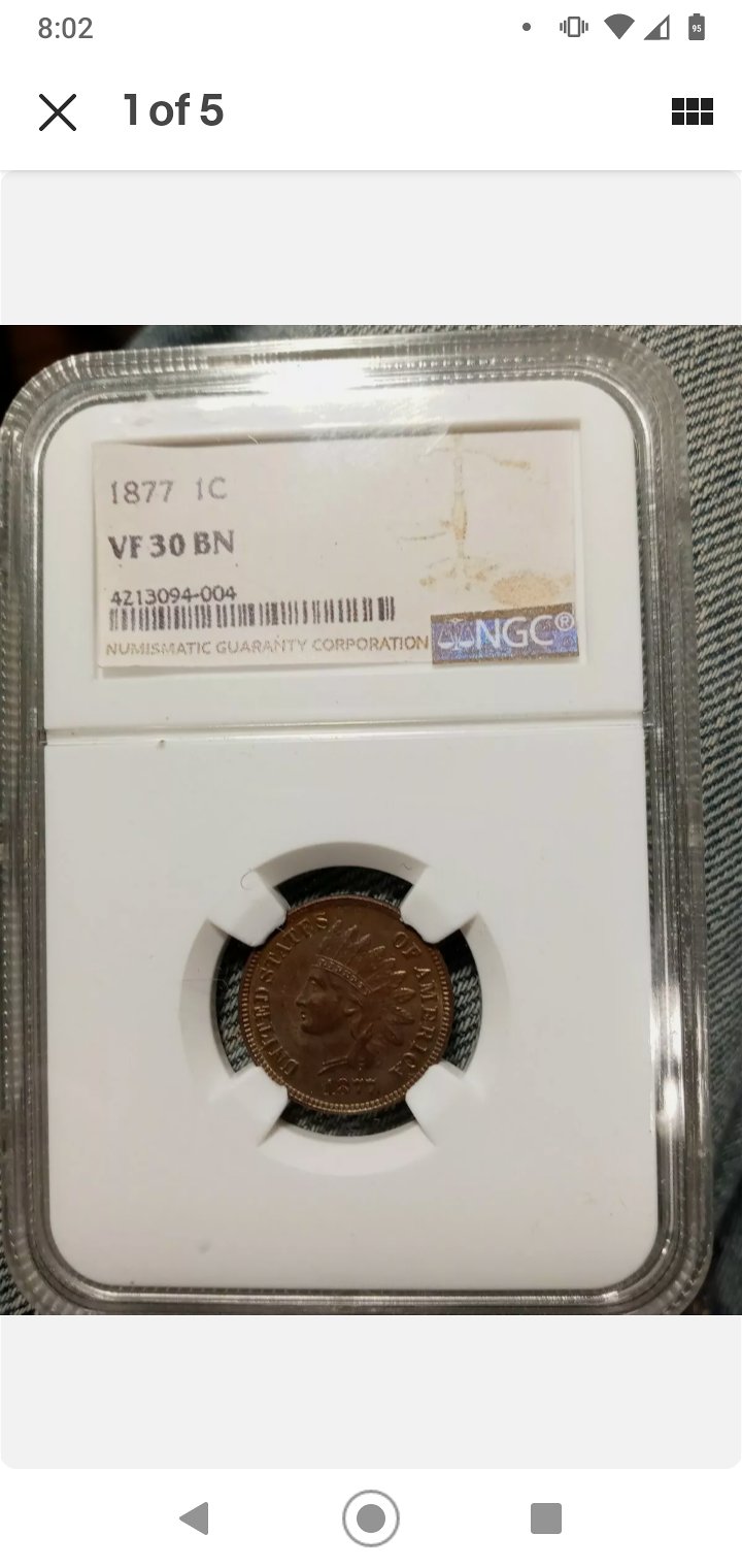 1877-Indian-Ebay-Listing-Appears-Counterfeit