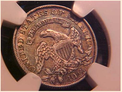 The-Incredible-100-Days-Of-19th-Century-US-Coins!