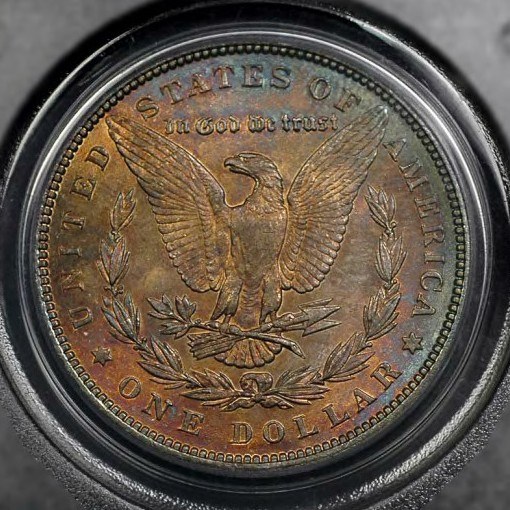 All-Members,-Post-Your-Most-Recent-US-Coin-Purchases!