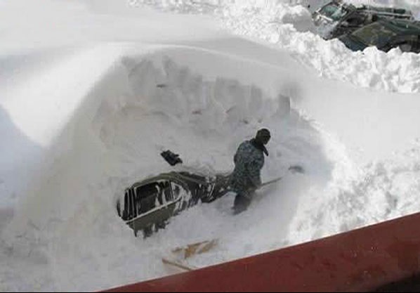 Has-Weather-Ever-Affected-Your-Collecting-Experience?