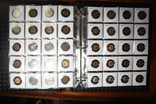 How-Should-I-Store-My-LWC-Collection?