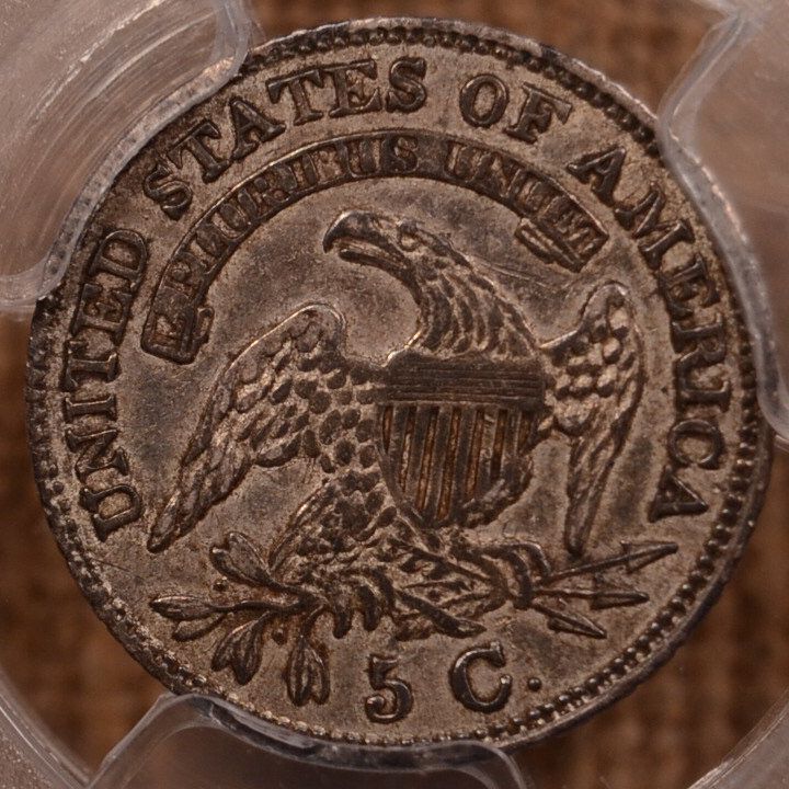 32-Day-Extravaganza-Of-Capped-Bust-Coins!!