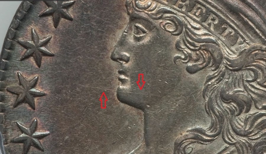 Capped-Bust-Half-Dollar,-What-Do-You-Think?