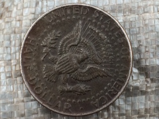 Would-This-74-Kennedy,-Clad-Layer-Missing-Worth-Grading?