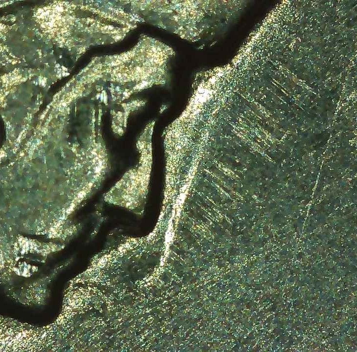 2021-Quarter-