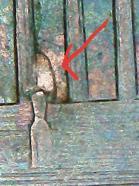 1998-Lincoln-Penny-With-A-Little-Extra-On-The-T-Of-Cent