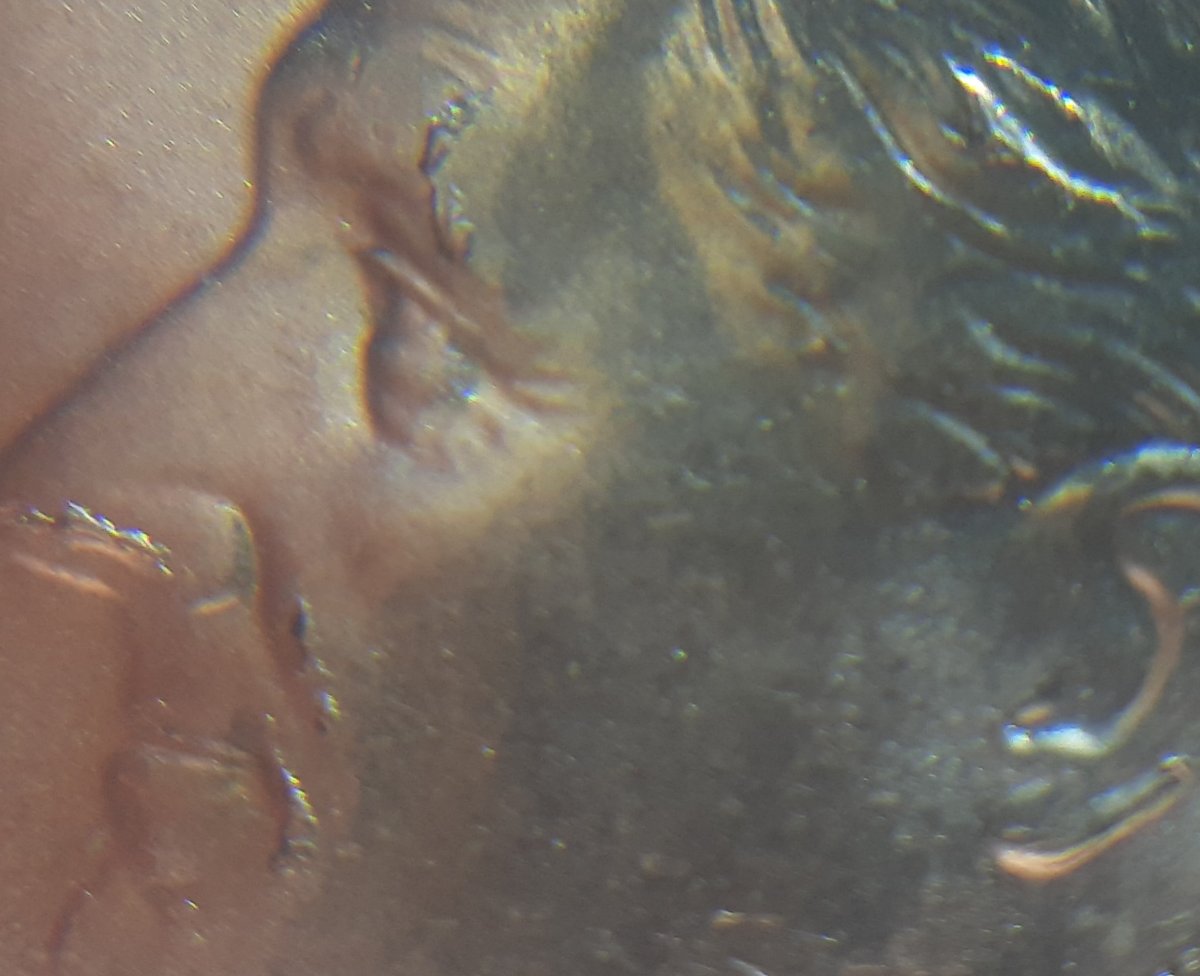 2019-P-Dime-With-Multiple-Die-Chips
