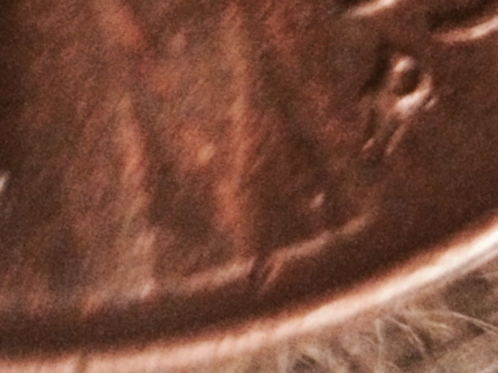 Is-This-A-Coin-That-Had-Something-On-The-Planchet-When-Struck?