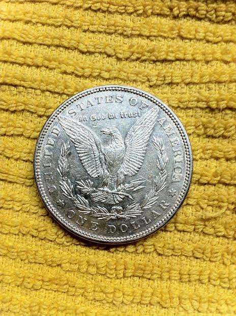 Is-This-Morgan-Cleaned?