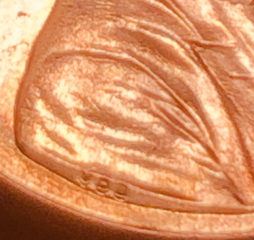 Is-This-Considered-A-Double-Die