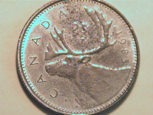 Counterfeits--The-Myths