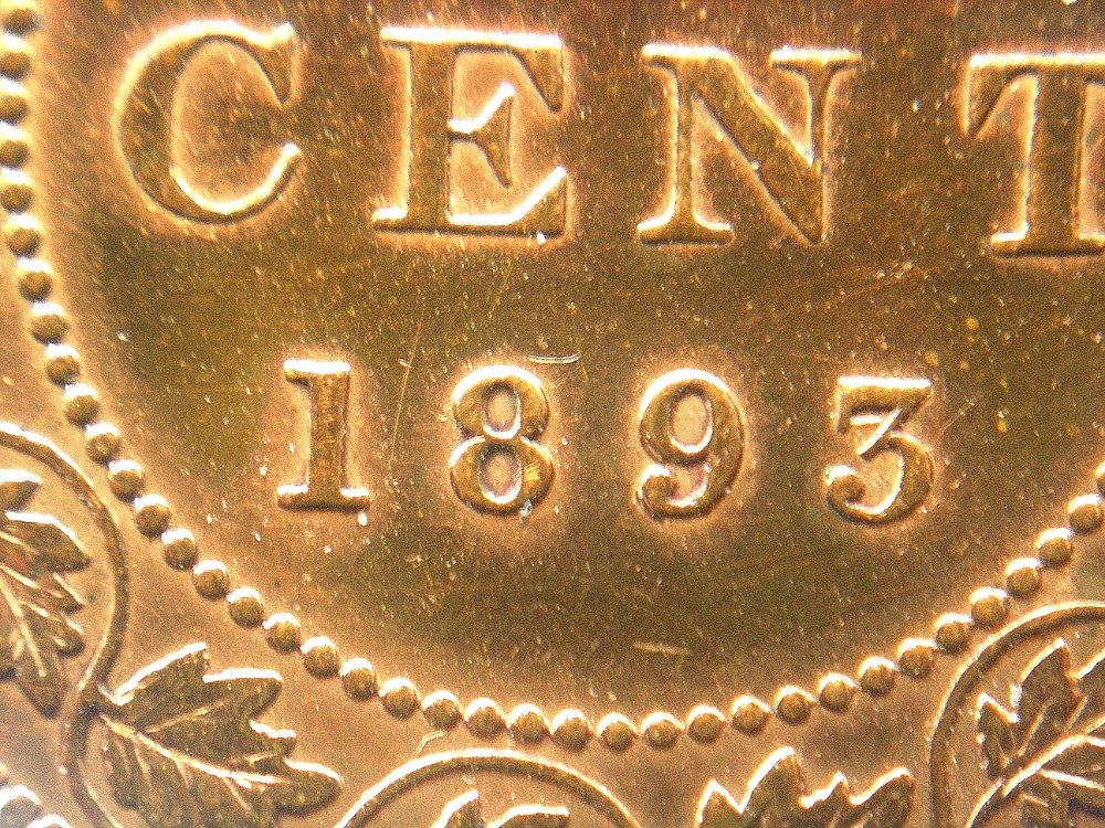 What-Would-You-Grade-This-1888-Large-Cent?