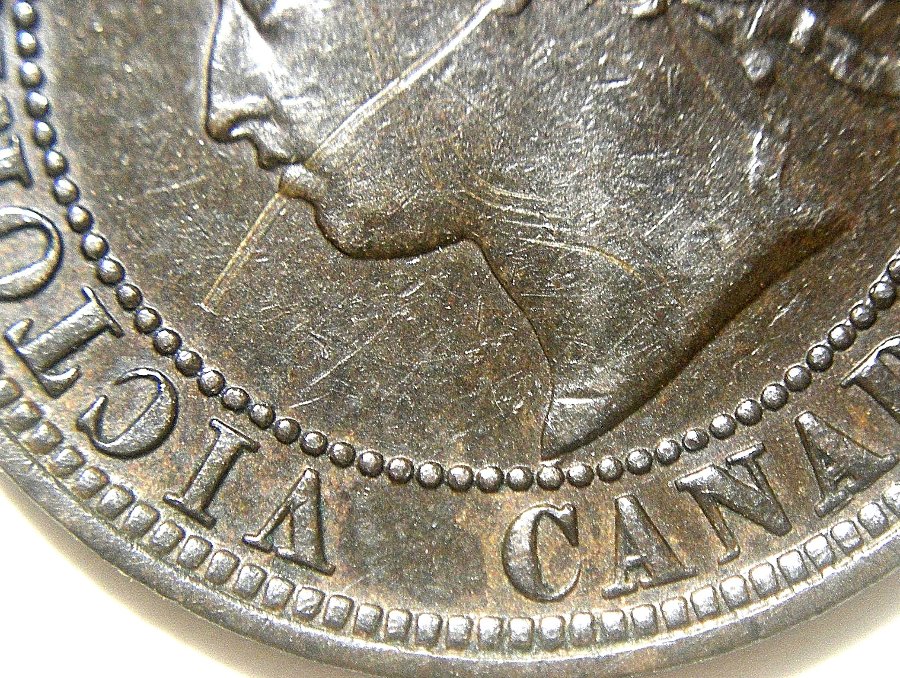 1876-Large-Cent-Finally-Got-One.