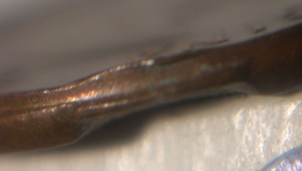 1-Cent-1963---Partial-Brockage-+-Surprise