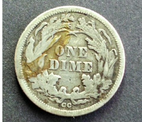 1876-Carson-City-Dime,-Is-It-Worth-It?