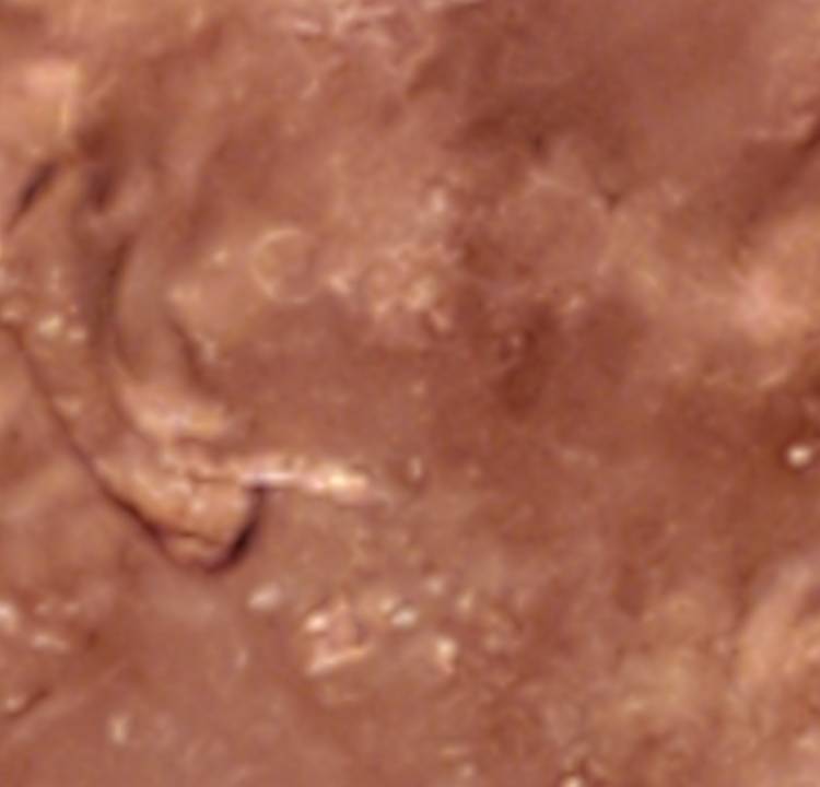 2021-D-Lincoln-Penny---Ear-Lobe-Error?
