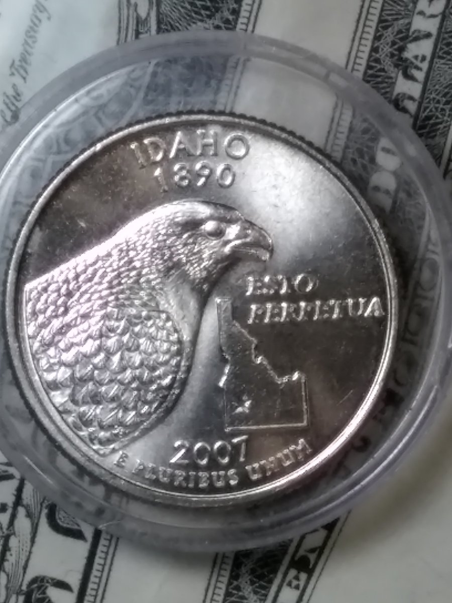 2007-D-Idaho-Quarter-Need-Options-Please