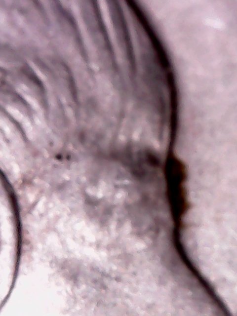 1996-D-Dime-Mint-Doubling-Thoughts-Please
