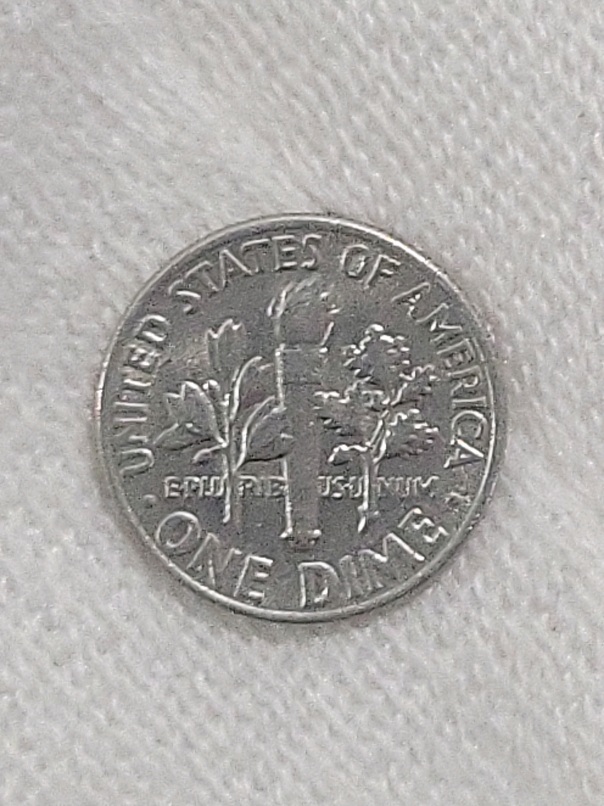 1969-D-Roosevelt-Dime-Please-Advise
