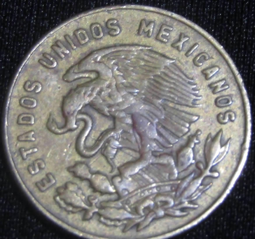Error-Or-After-Minted-Damage?