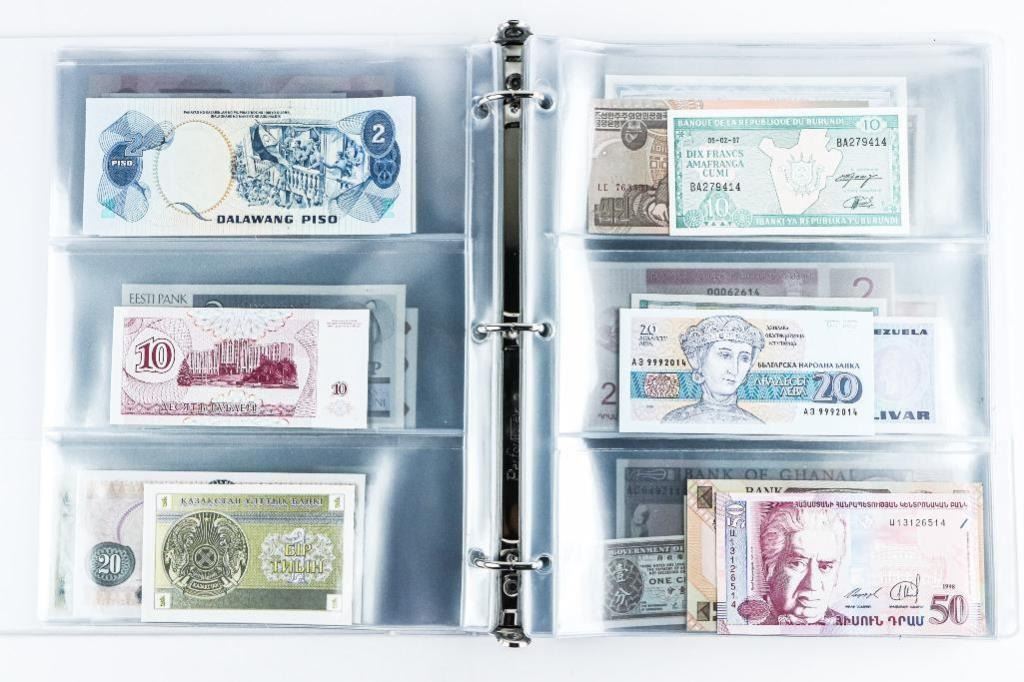 Just-Bought-This-Collection