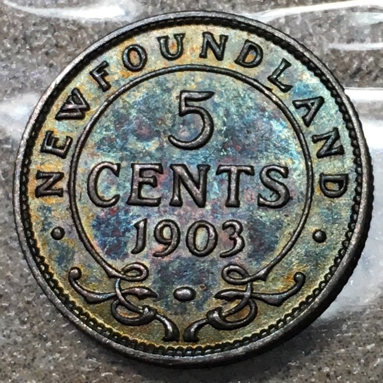 Toned-1903-Newfoundland-5-Cent.-Grade-And-Thoughts-Please?
