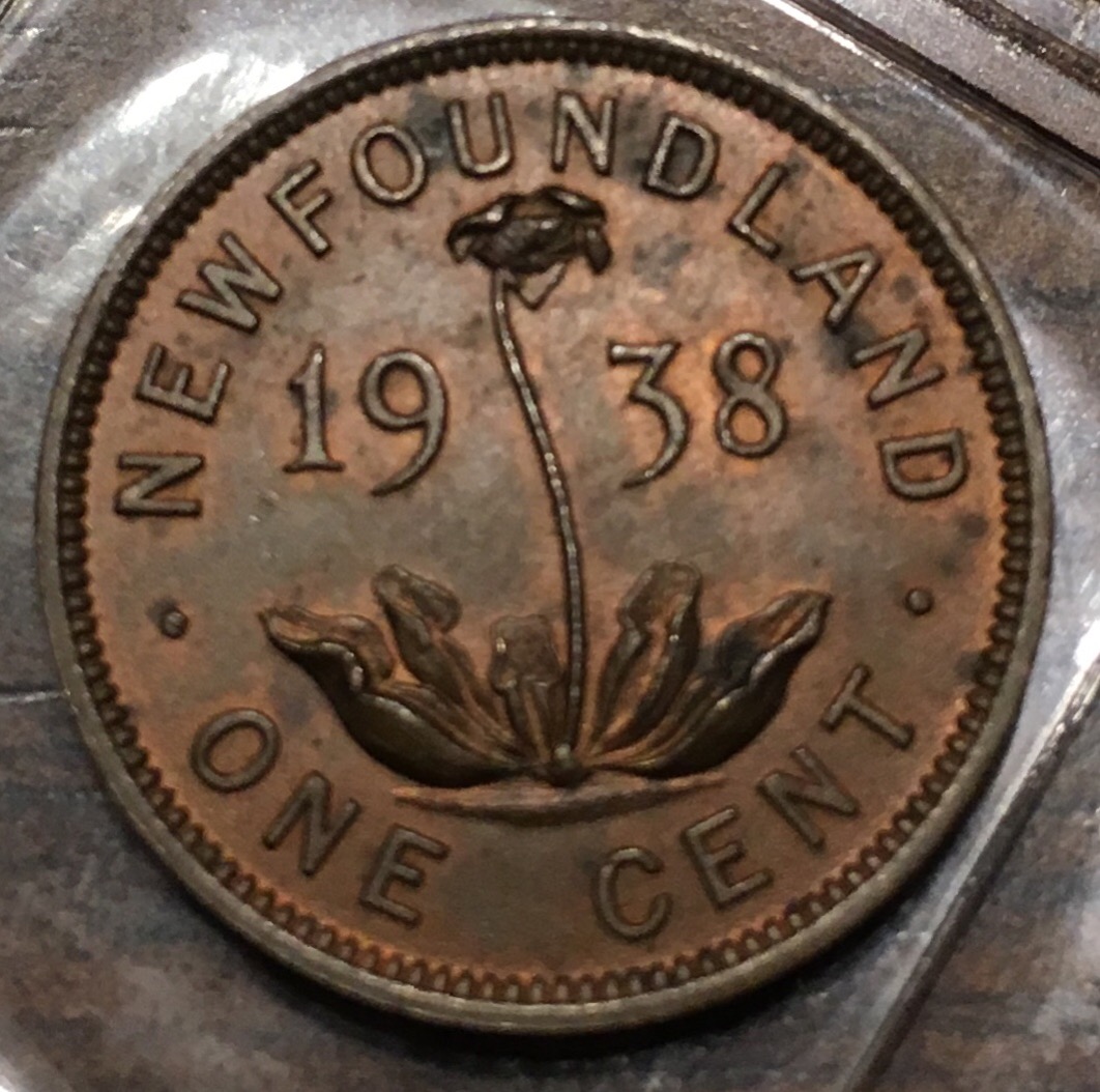 1938-One-Cent-Red/Brown-Mostly-Brown-Grade-Opinions