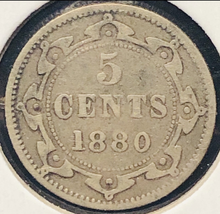 Newfoundland-1880-5-Cent-For-Grading