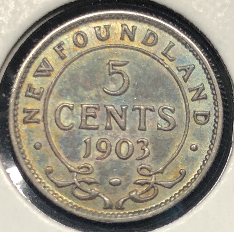 1903-Newfoundland-5-Cent