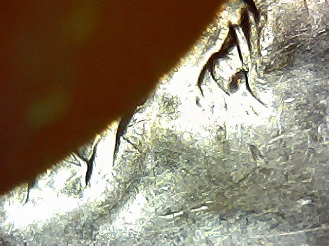 99d-Dime--Looks-Like-Doubling-Too-Me-Eye-Lid?