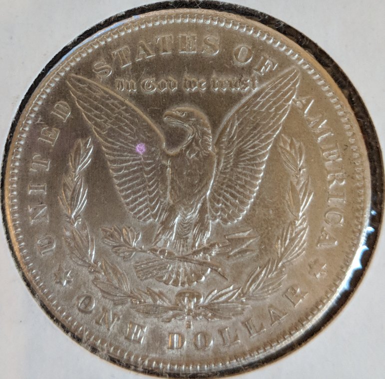 Morgan-1878-S-And-1921-Grading