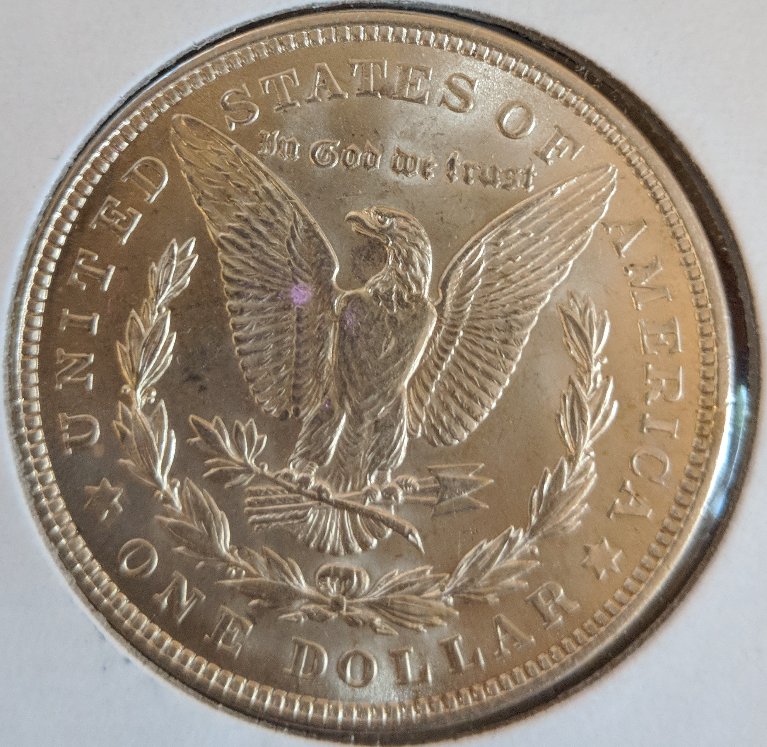 Morgan-1878-S-And-1921-Grading