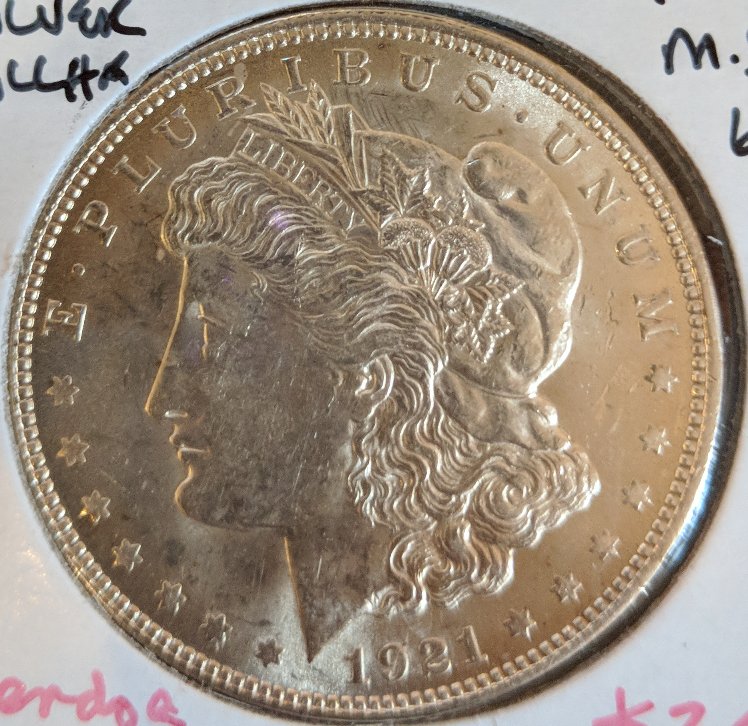 Morgan-1878-S-And-1921-Grading