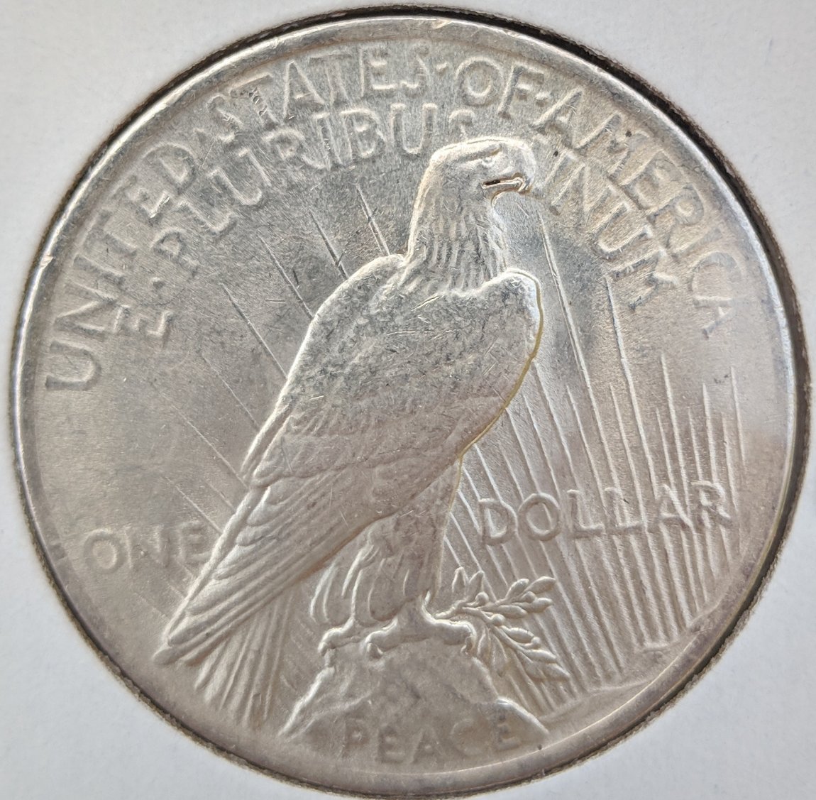 1923-Peace-Dollar-Grading-Thoughts