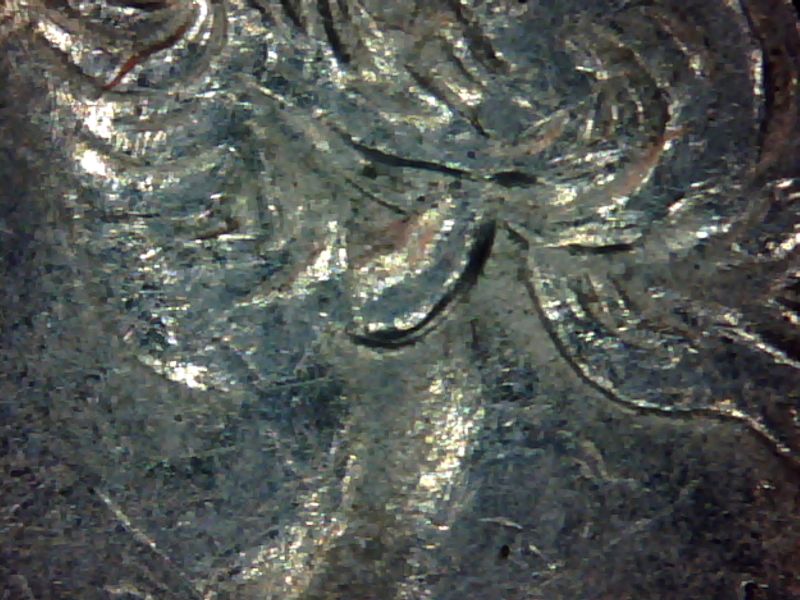 1998-P-Quarter-MD-Ear?