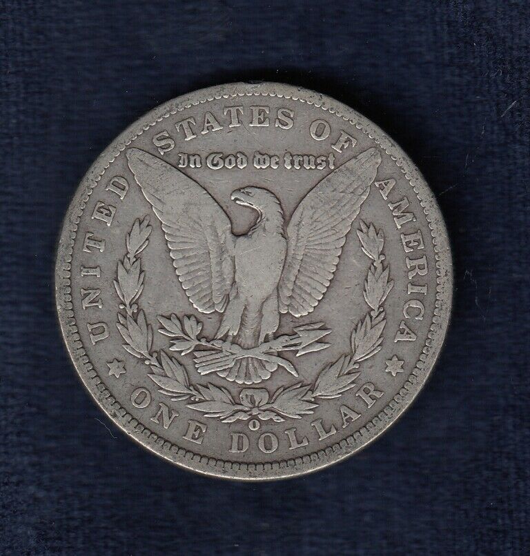 Noob-In-Collecting-Coins-/-Morgan-Dollars