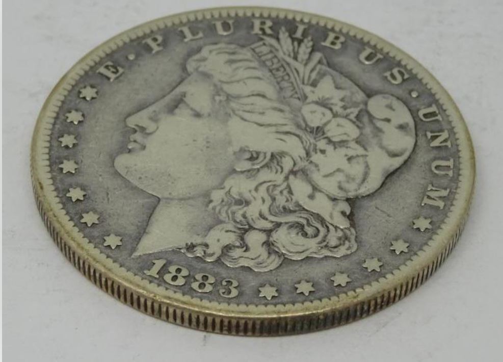 Noob-In-Collecting-Coins-/-Morgan-Dollars