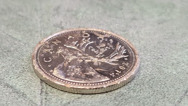 Weird-Canadian-Quarter