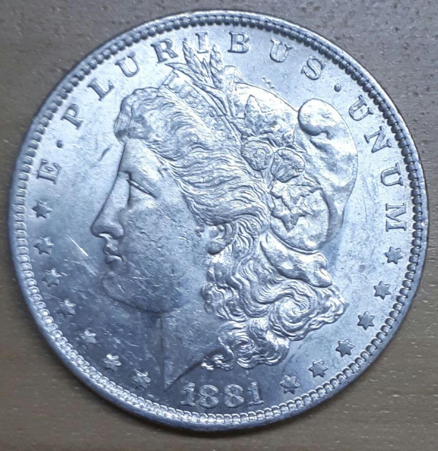 Beautiful-Shining-Morgan-Dollars-White-Silver-Coin-Luster-Surface