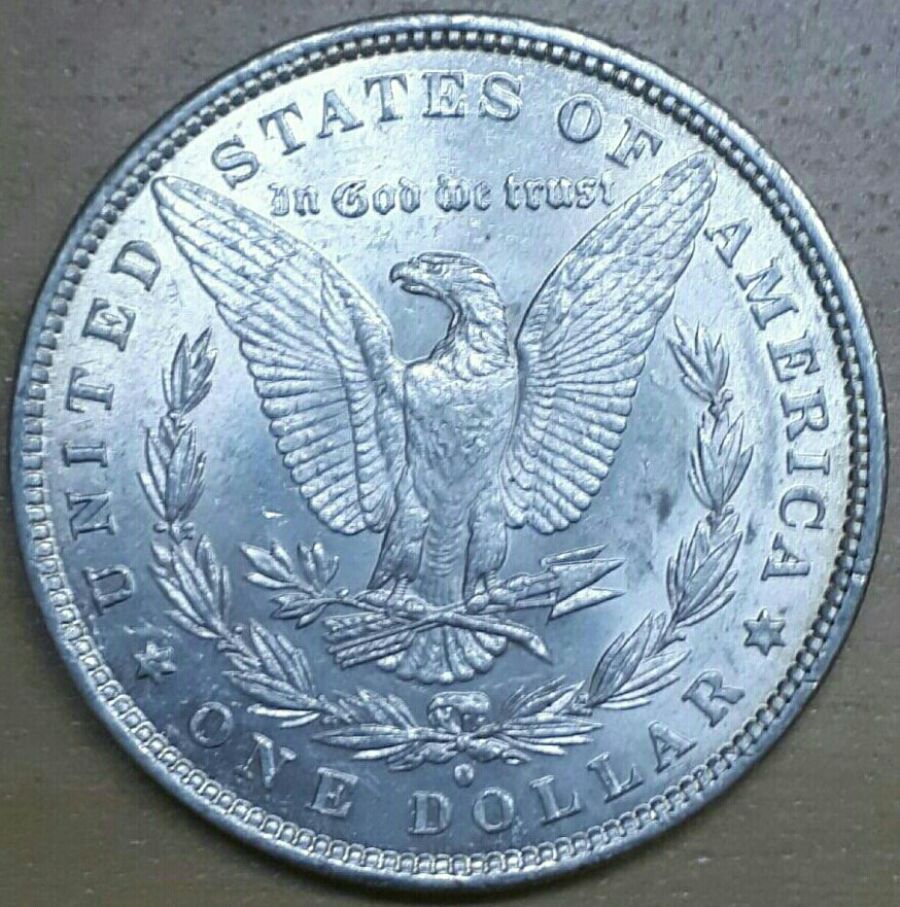 Beautiful-Shining-Morgan-Dollars-White-Silver-Coin-Luster-Surface