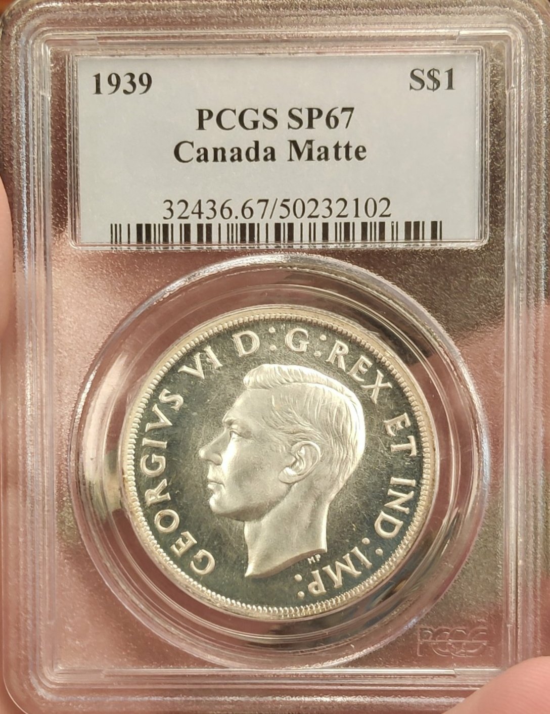 Show-Us-Yer-Gorgeous-Georges