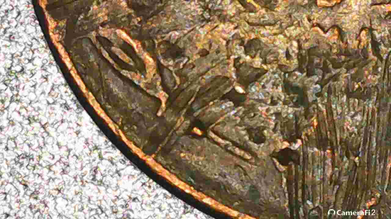 19?-Wheat-Penny-Need-Help-Identifying-Type-Error