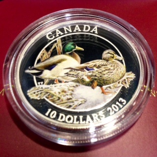 Silver-Mallard-Single-Coin....good-Investment?
