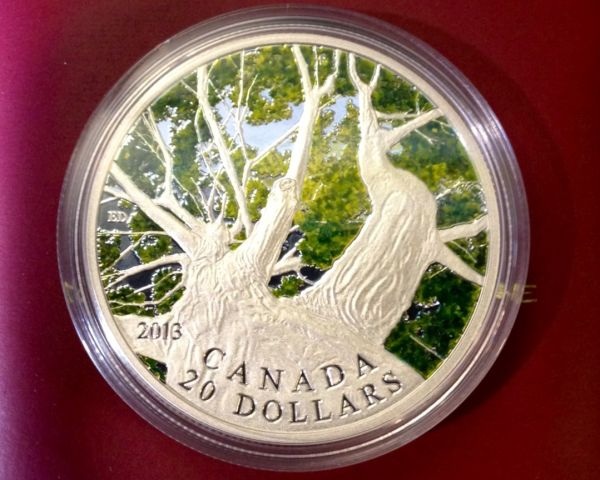 What-About-The-1-Oz....maple-Canopy-Coin